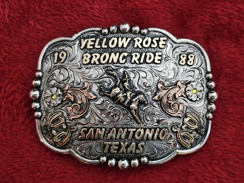 Rodeo treme bronc - rodeo,